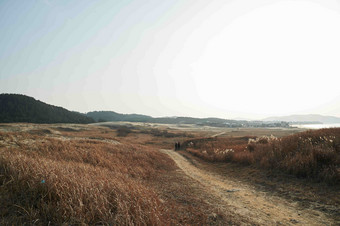 沿海山度假胜地乡间小路风景摄影图