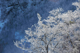 Deogyusan山雪景共和国