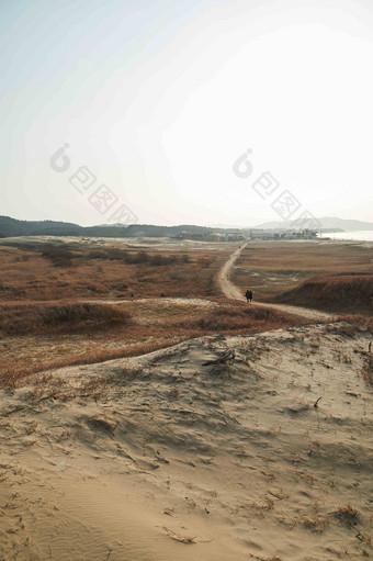 沙漠里的交通要道<strong>绿洲</strong>植物风景摄影图