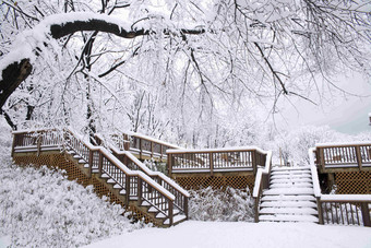 雪景场景森林韩国