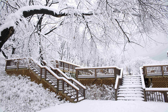 <strong>雪景场景</strong>森林韩国