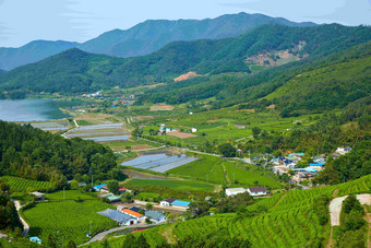 分布在茶叶庄园的村落风景摄影图