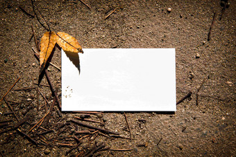 业务卡纸摆在土壤上样机<strong>摄影图</strong>