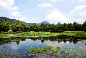 池塘湖水边植物园