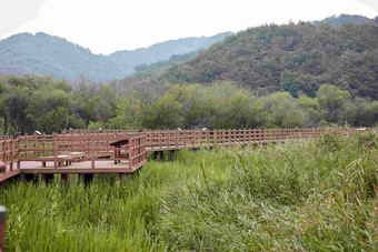 Jeongyang沼泽Hapcheongun生态