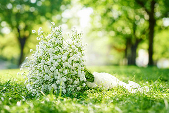 风信子花束婚姻草地风景摄影图