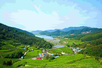 茶园中的村落山间<strong>风景</strong>户外摄影图