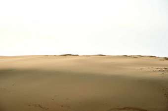 白天里的沙漠土壤自然室外景观摄影图
