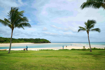 沿海沙滩棕榈树草地风景摄影图