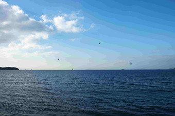 海洋海水幽蓝，海面上海鸥飞翔