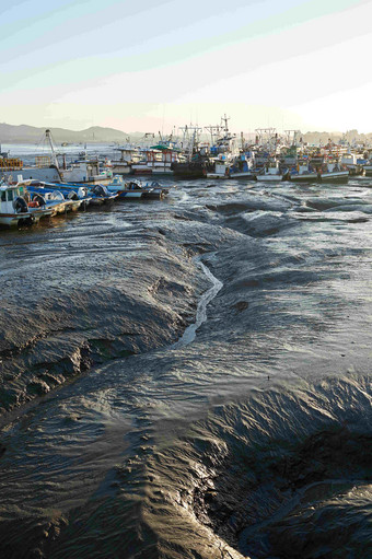 港口钓<strong>鱼</strong>船沼泽场景<strong>摄影图</strong>