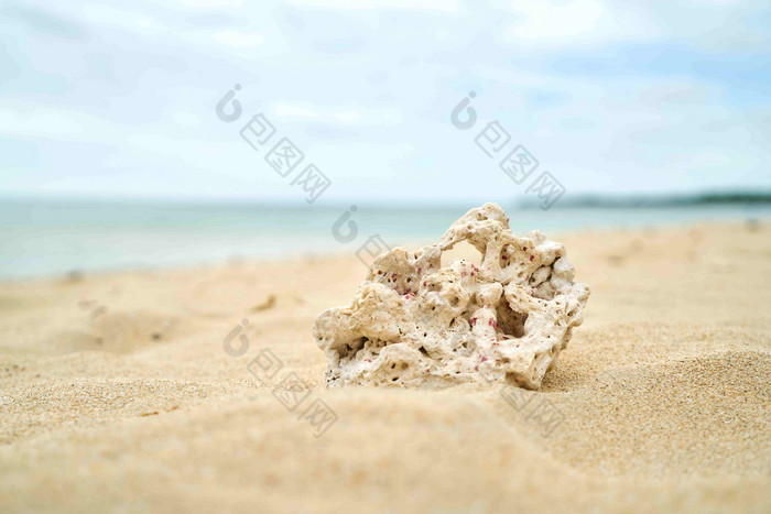 海云斐济天空沙滩生物风景摄影图
