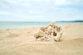 海云斐济天空沙滩生物风景摄影图