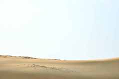 沙漠自然保护区旅游胜地摄影图