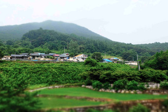 韩国山区林区村落建筑群实景摄影图