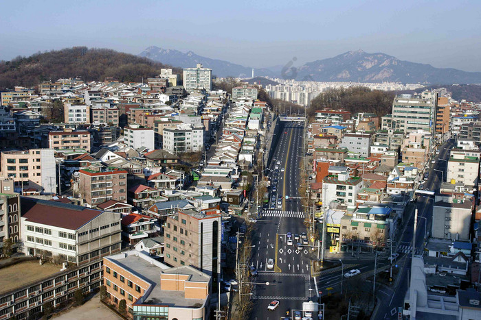 村风景视图重建