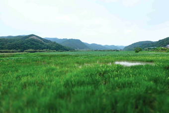 Jeongyang沼泽Hapcheongun<strong>公园</strong>