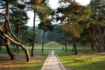 庆州公园路径小道松树风景摄影图