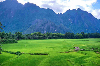 大米帕迪农场老挝深山景观摄影图