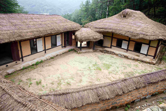 住房房子茅草屋顶的历史