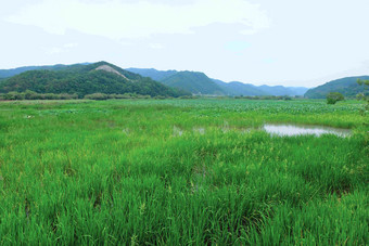 Jeongyang沼泽Hapcheongun风景