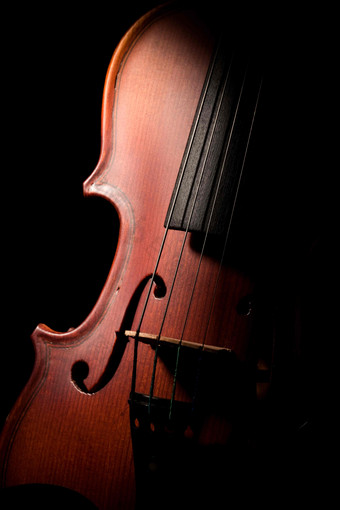 棕色的颜色黑色的小提琴