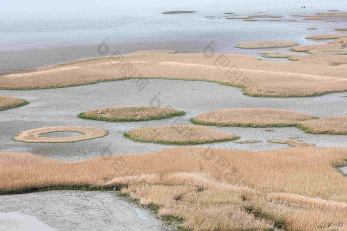 湾里德生态泥沼泽景观图