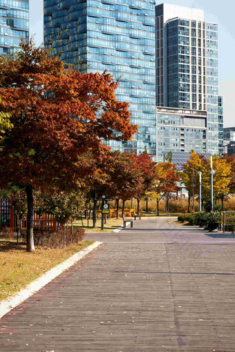 韩国仁川中央公园公园步道