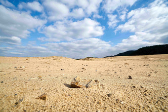 沿海沙滩砂砾蓝天白云摄影图