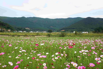 宇宙<strong>花园</strong>农场区域