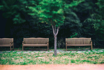 板凳上椅子公园景观