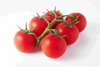 一枝新鲜的番茄有机蔬菜静物摄影图