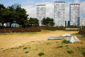 韩国仁川中央公园区域草坪