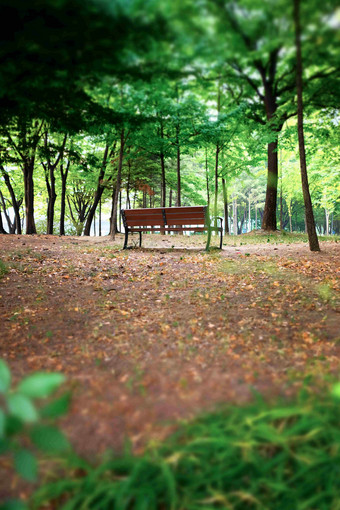 板凳上公园绿色休息