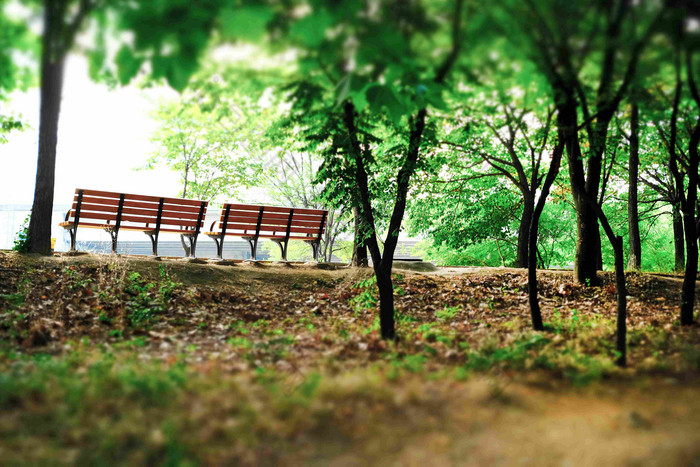 板凳上公园绿色区域