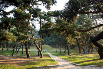 皇家陵园森林景观摄影图