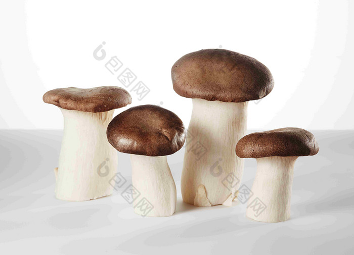 蘑菇丛香菇蔬菜元素场景摄影图