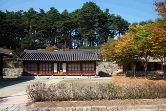 韩国一处老房子外观四周树木植物