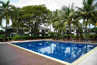 游泳池棕榈树酒店建筑摄影图