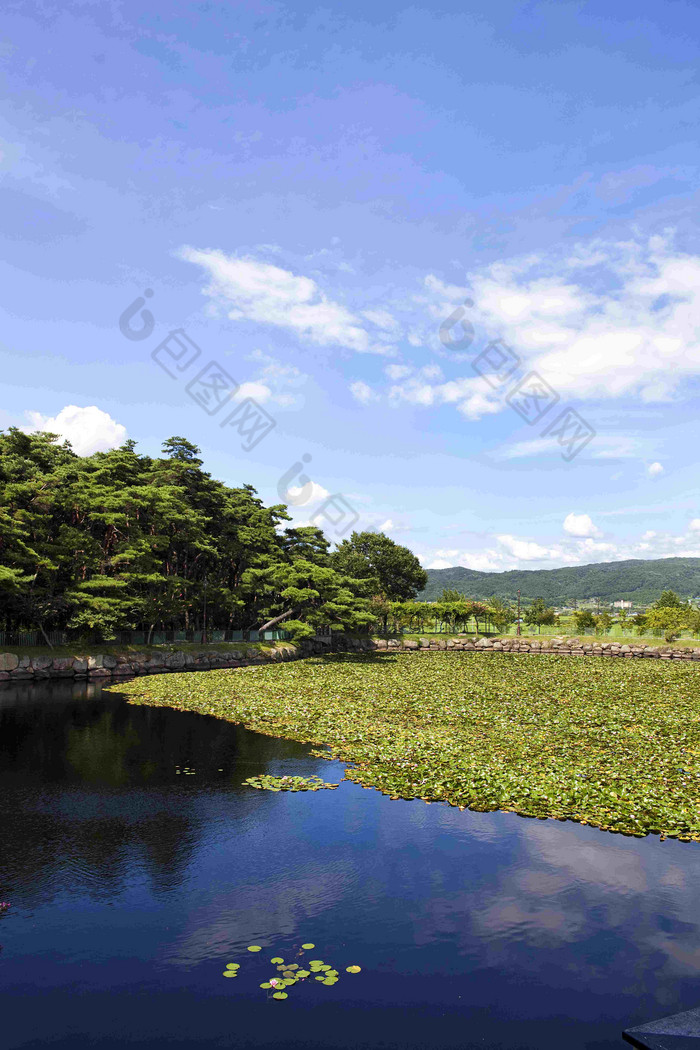 池塘庆州森林公园湖泊天空风景摄影图