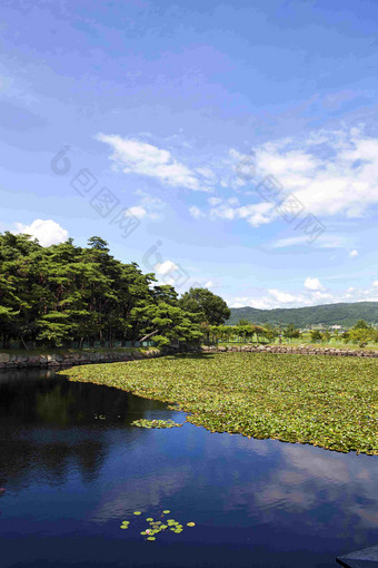 池塘庆州森林公园湖泊天空风景摄影图