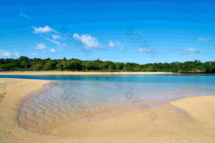 海滩斐济岛屿绿洲森林屏障风景摄影图