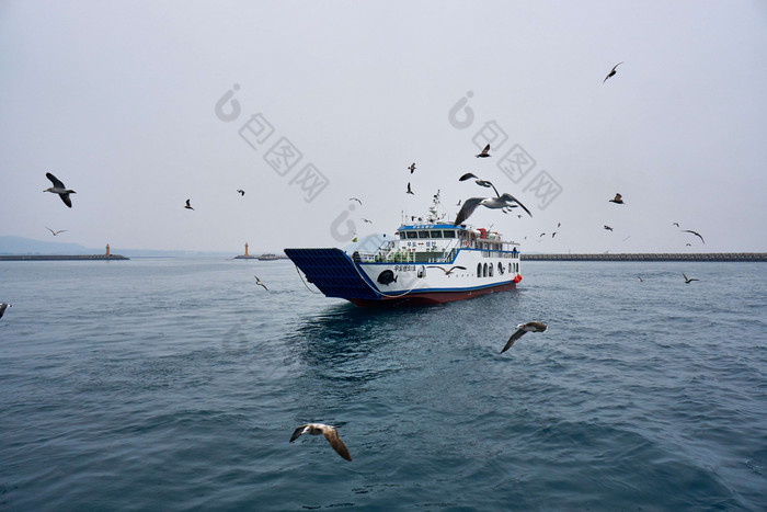 巡航船海鷗海洋