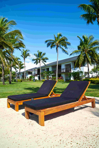 棕榈树海滩躺椅休闲场景图