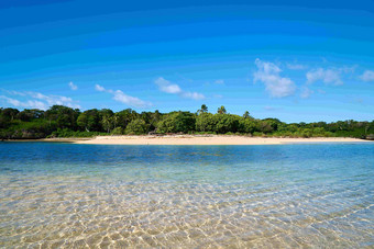 斐济岛景观沙滩树林风景摄影图