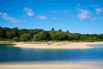 斐济岛海岸线森林大海浑然一体摄影图