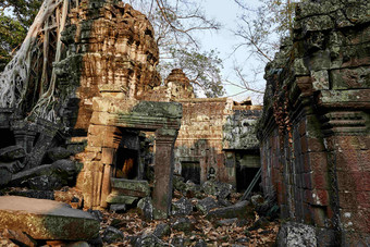 寺庙废墟<strong>古老</strong>建筑枯树风景摄影图