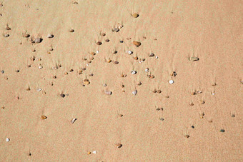 沙子背景沙滩素材图像摄影图