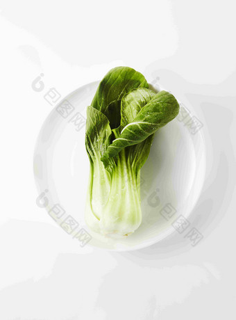 新鲜的小油菜蔬菜静物摄影图