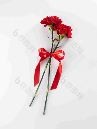 表达信物节日花束红色康乃馨摄影图